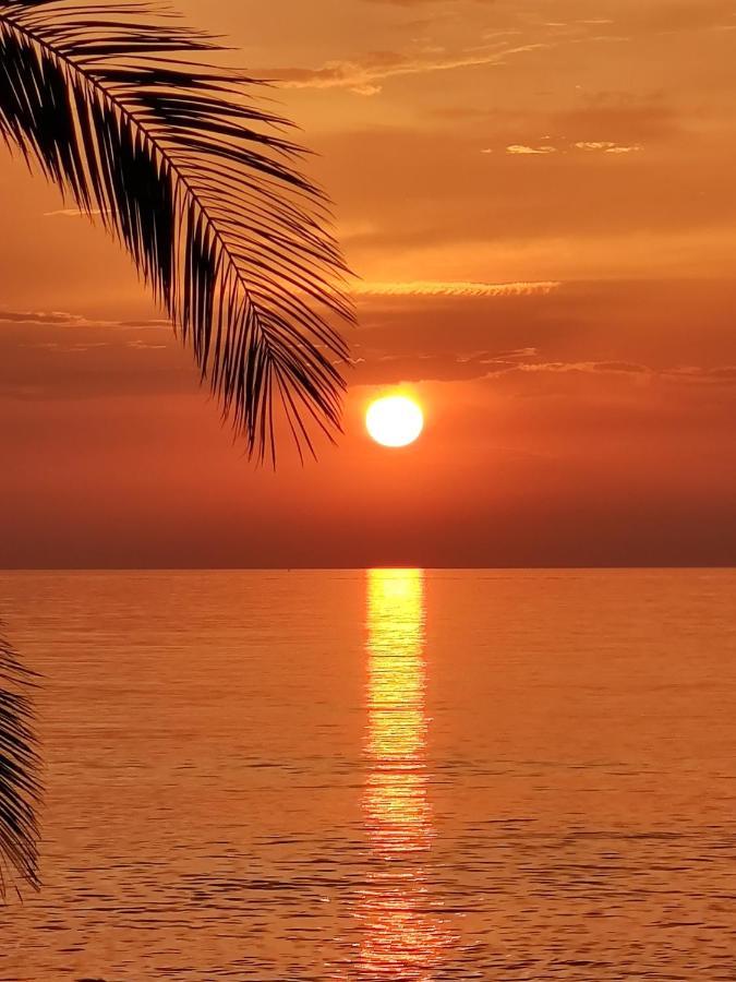 The Sunny Side Central Umag